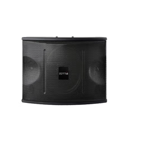 ZJK-450十寸2分频