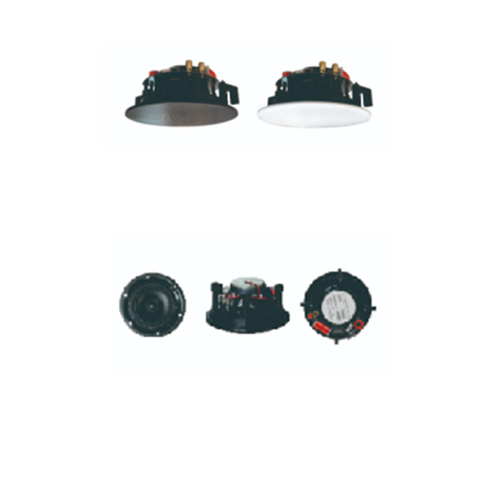 ZY640C  6寸40W定阻带分频同轴聚会喇叭